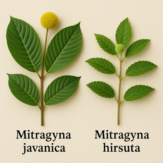 köp kratomalternativ